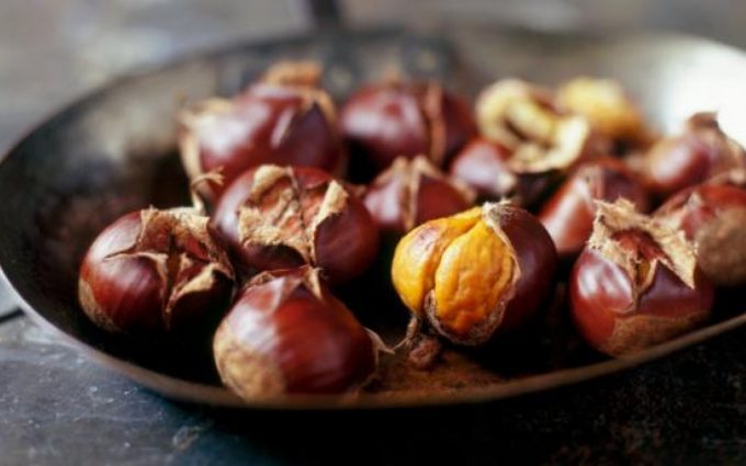 Why is the chestnut tree grown?