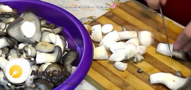 Um Austernpilze zuzubereiten, schneiden Sie die Pilze in Stücke