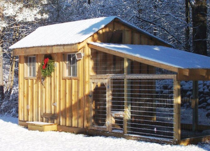 A quiet and calm place on the site is suitable for placing a chicken coop.