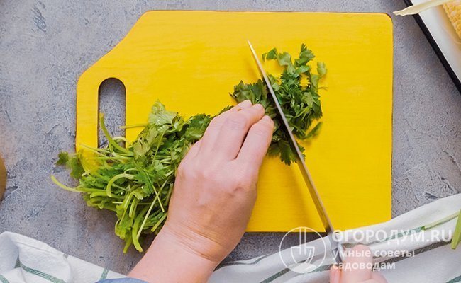 För att frysa koriander, finhacka de beredda gröna och kombinera med solrosolja. Huvudkomponenterna kan mosas med en mixer eller lämna bladen intakta