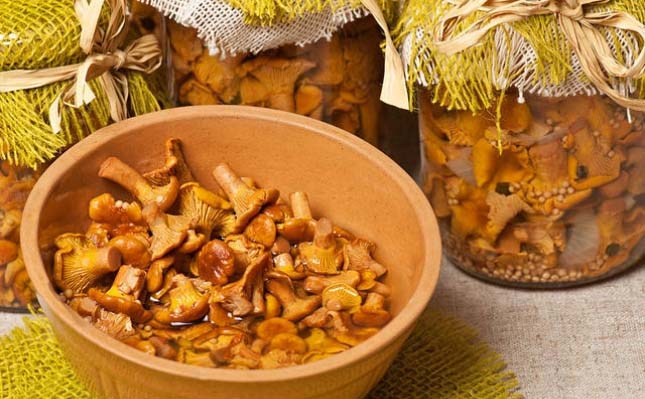 For pickling chanterelles, a hot method is used, which allows you to get not only very tasty, but also useful mushroom preparation