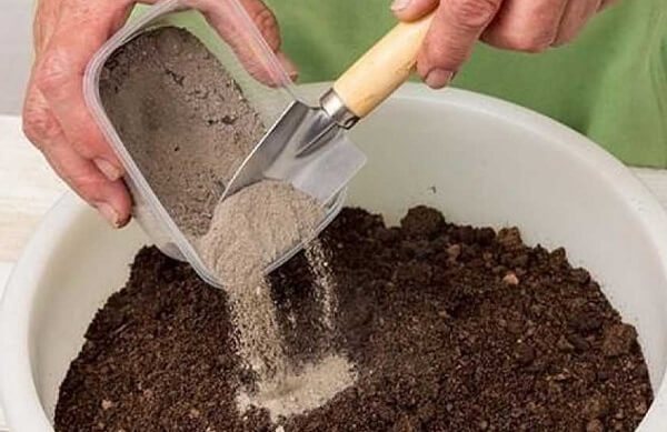 Adăugarea de cenușă la sol pentru a dezoxida solul