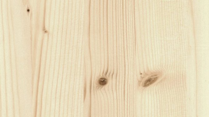 lemn de molid