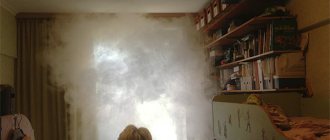 Smoke bombs from cockroaches