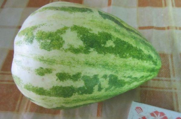 sibarita meloun