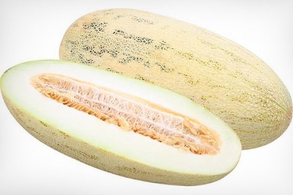 Melon Torpedo (Pelangi)