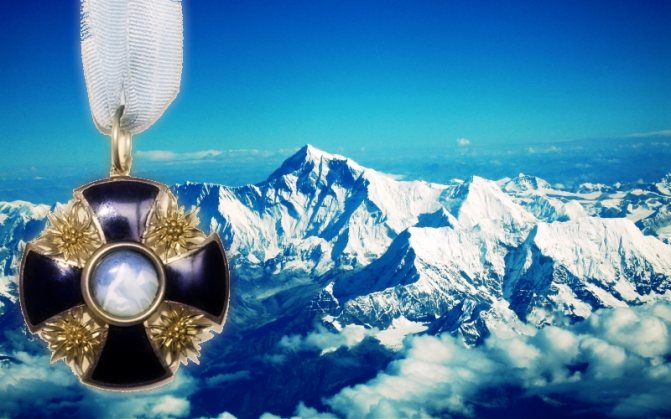 Edelweiss - a symbol of mountaineering sports