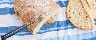 Dacă consumul de pâine cu mucegai este sau nu periculos: consecințele, modul în care corpul reacționează la utilizarea mucegaiului