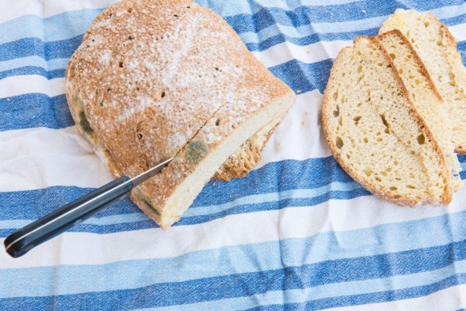 Ако яденето на хляб с плесен е опасно или не: последиците, как тялото реагира на използването на мухъл