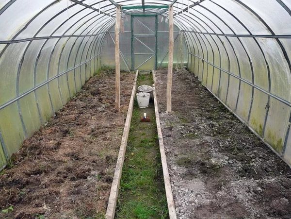 Om marken i växthuset blir grön är det nödvändigt att justera ventilationssystemet