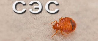 There are a number of important points regarding the call of the SES for sanitizing the room from bedbugs, and then we will try to understand them in detail ...