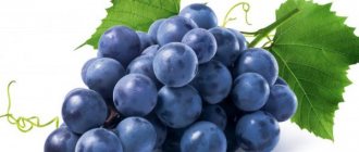 Етимологични характеристики на гроздето