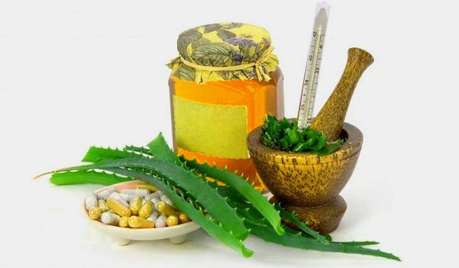 Pharmacological properties and use of aloe tree