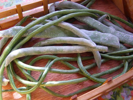 Mga beans at asparagus