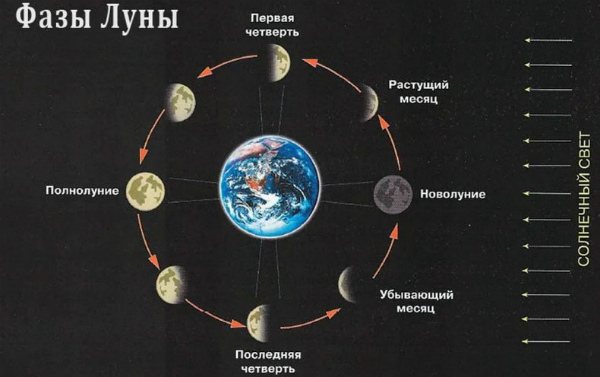 مراحل القمر في فبراير 2020