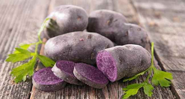 свойства на лилав картоф