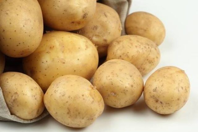 Cartoful târziu: combaterea bolii măsoară soiurile rezistente
