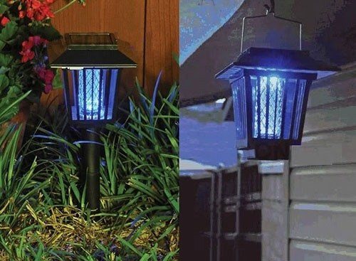 Mosquito trap lights