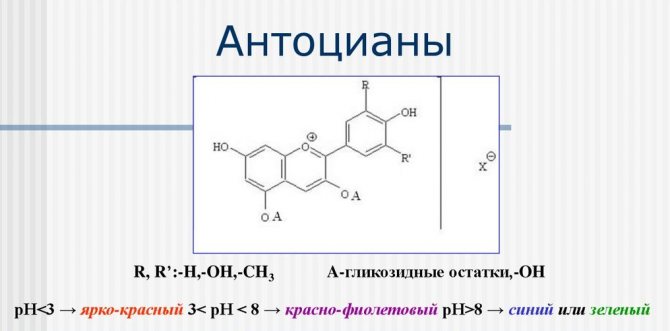 Formula antocianină