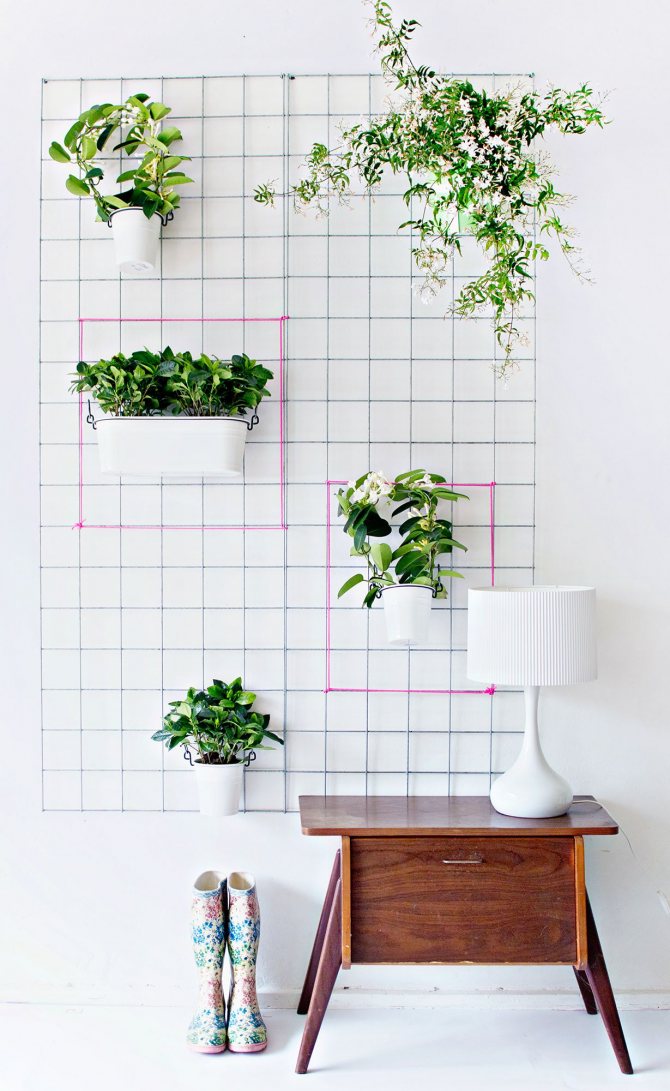 Photo number 10: How to place indoor plants in the interior if there is no room for them