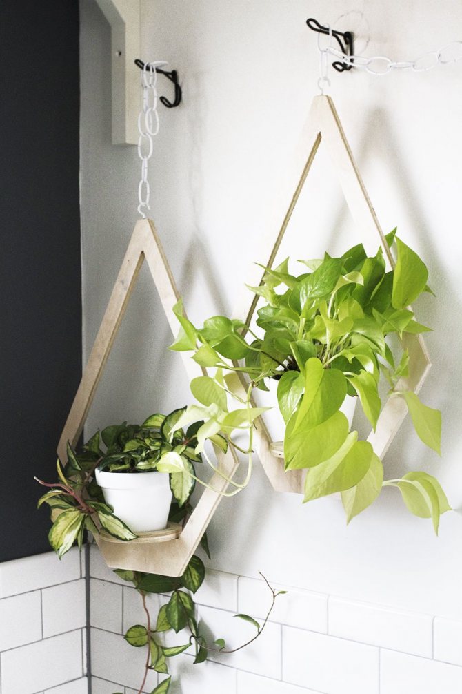 Photo number 11: How to place indoor plants in the interior if there is no room for them