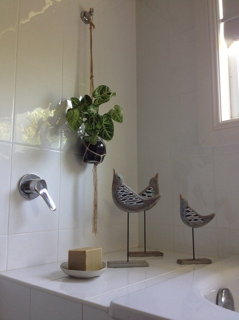 Photo number 12: How to place indoor plants in the interior if there is no room for them
