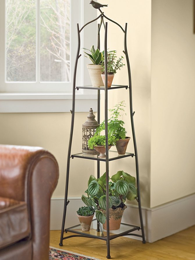Photo number 3: How to place indoor plants in the interior if there is no room for them