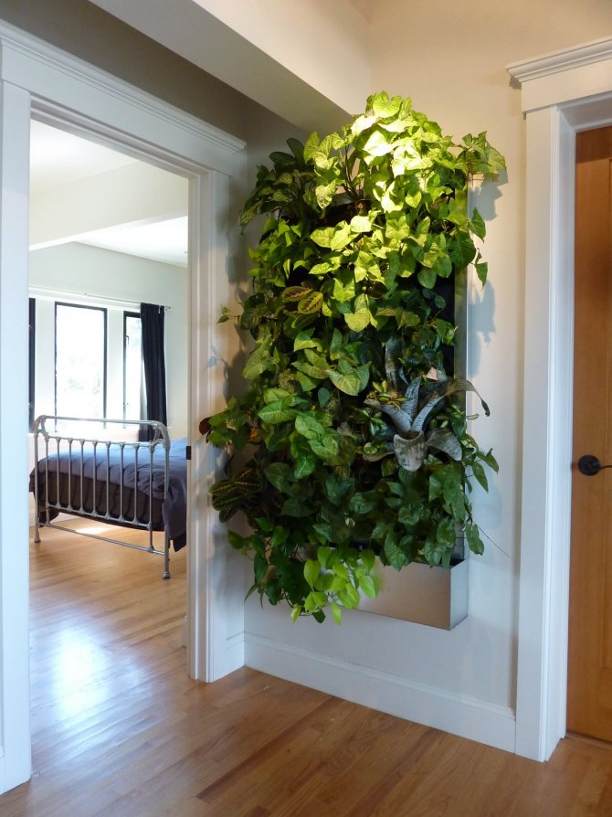 Photo number 8: How to place indoor plants in the interior if there is no room for them