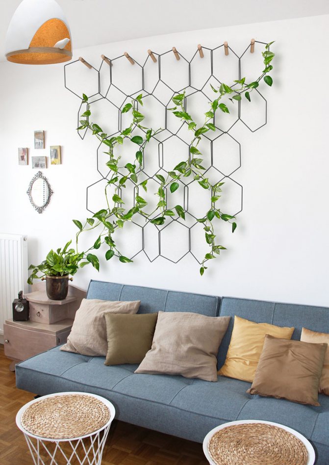 Photo number 9: How to place indoor plants in the interior if there is no room for them