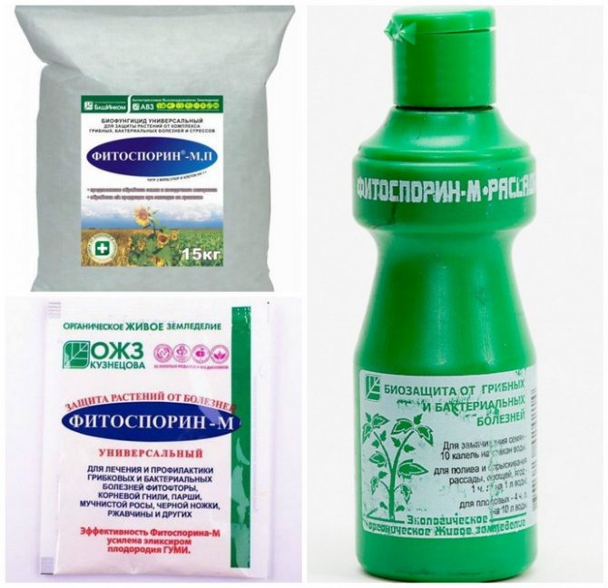 Bilder av fytosporin i olika förpackningar