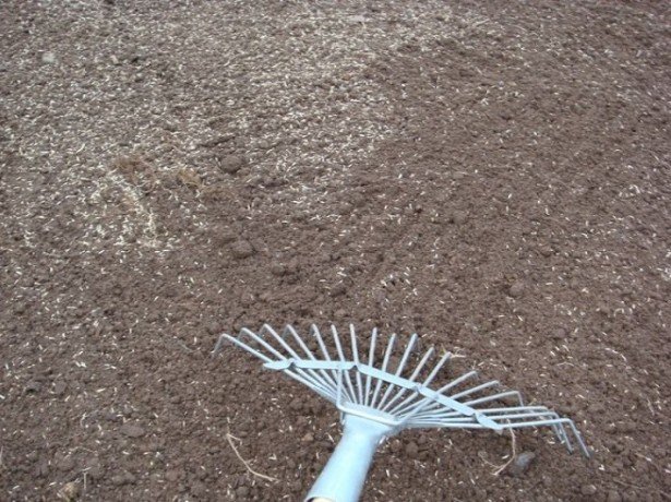 Снимка на обработка на почвата