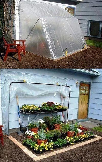 Photo - Wall greenhouse
