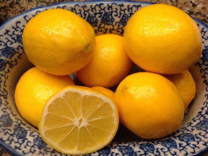 صورة لفاكهة الليمون من ماير