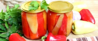 Foto recept na sladkou papriku v medové náplni na zimu