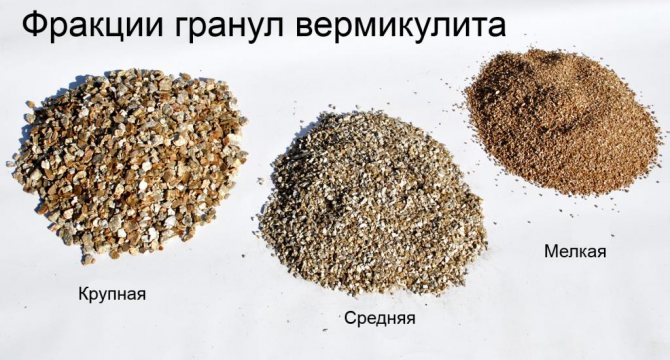 Vermiculite fractions