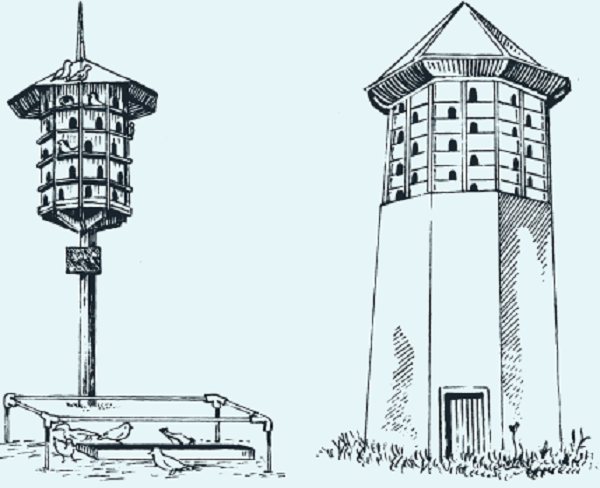 Fundamental tower dovecotes