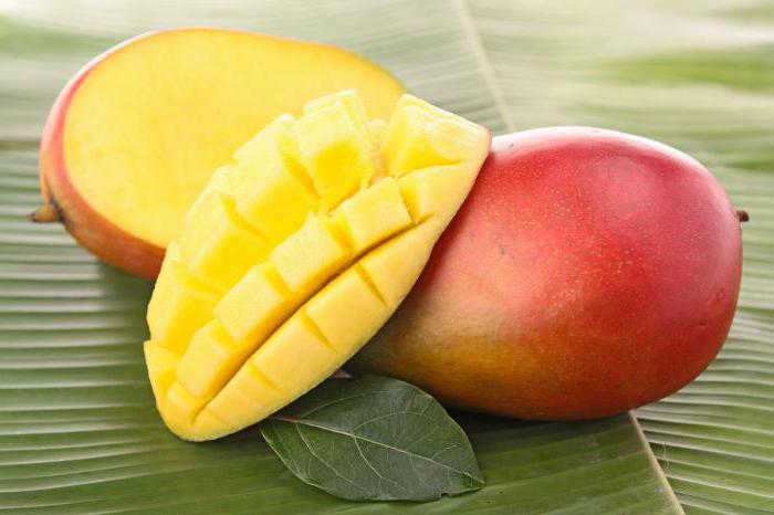 къде расте плодът манго