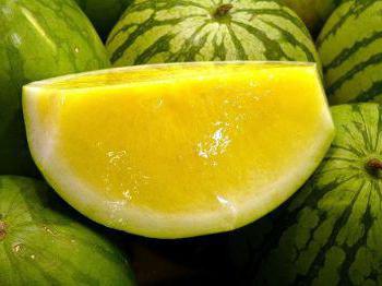 Where do yellow watermelons grow in Russia