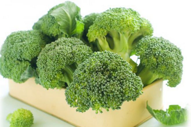 di mana brokoli ditanam