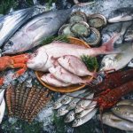 الديدان الطفيلية في الأسماك: خطيرة وآمنة للإنسان