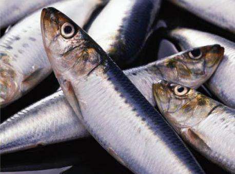 Helminthes dans les poissons: dangereux et sans danger pour l'homme