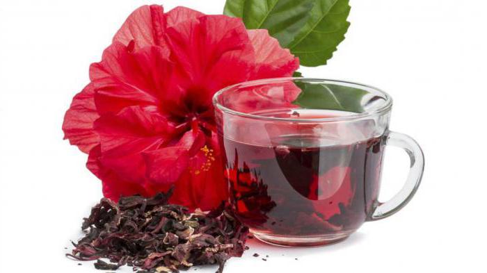 mga katangian ng hibiscus tea