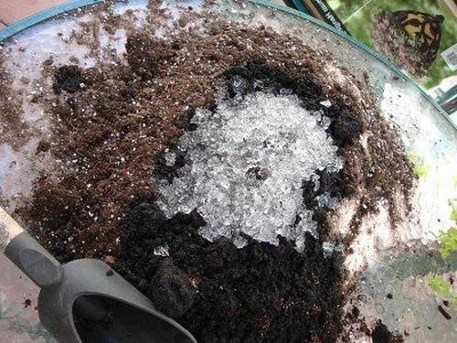 seedling hydrogel