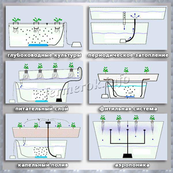 أنظمة الزراعة المائية DIY