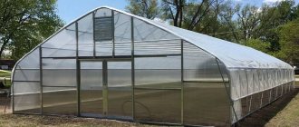 Dutch greenhouse