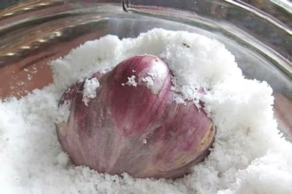 Kepala bawang putih dalam garam