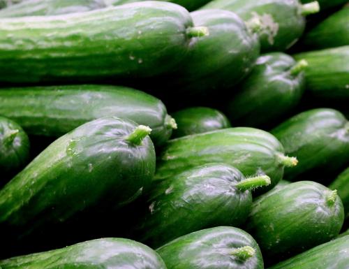 Bitter zucchini poisoning. Bitter cucumbers and zucchini can cause food poisoning