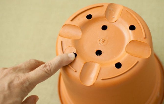 Pot with holes