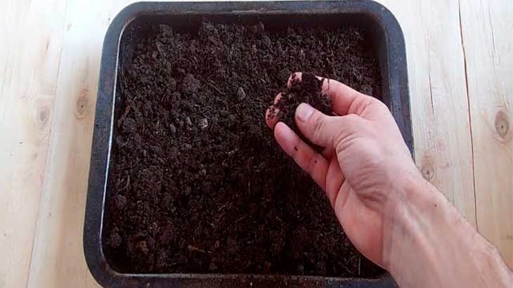 Готова почва за засаждане на семена