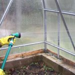 Preparing the greenhouse for spring plantings